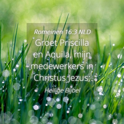 Picture 04 - Romeinen 16:3 NLD - Groet Priscilla en Aquila, mijn medewerkers in - Bible Verse Picture