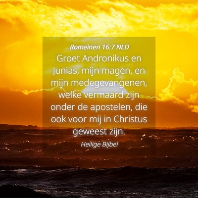 Picture 04 - Romeinen 16:7 NLD - Groet Andronikus en Junias, mijn magen, en mijn - Bible Verse Picture