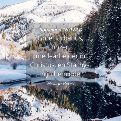 Picture 04 - Romeinen 16:9 NLD - Groet Urbanus, onzen medearbeider in Christus, en - Bible Verse Picture