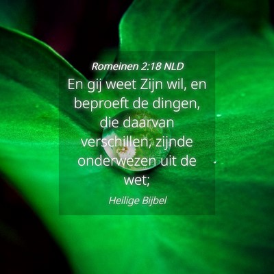 Picture 04 - Romeinen 2:18 NLD - En gij weet Zijn wil, en beproeft de dingen, die - Bible Verse Picture