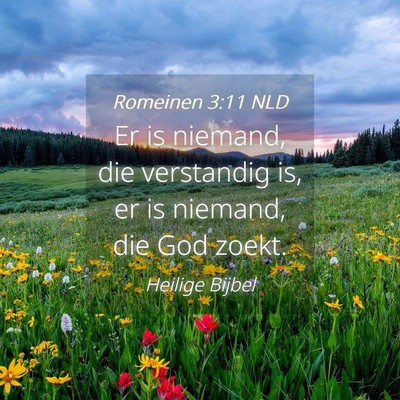 Picture 04 - Romeinen 3:11 NLD - Er is niemand, die verstandig is, er is niemand, - Bible Verse Picture