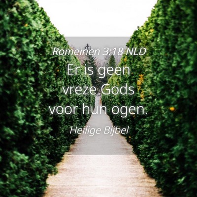Picture 04 - Romeinen 3:18 NLD - Er is geen vreze Gods voor hun - Bible Verse Picture
