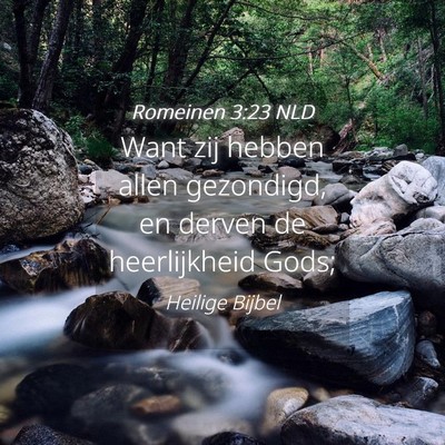 Picture 04 - Romeinen 3:23 NLD - Want zij hebben allen gezondigd, en derven de - Bible Verse Picture
