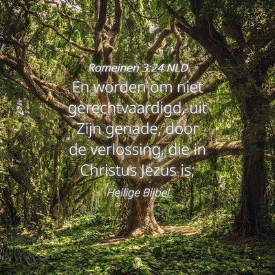 Picture 04 - Romeinen 3:24 NLD - En worden om niet gerechtvaardigd, uit Zijn - Bible Verse Picture