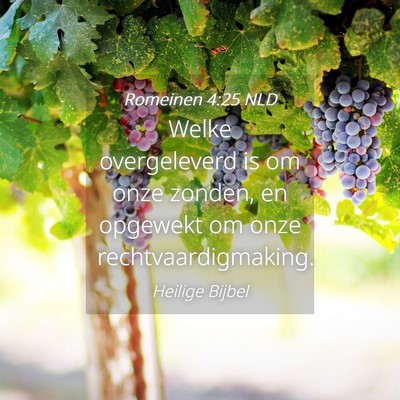 Picture 04 - Romeinen 4:25 NLD - Welke overgeleverd is om onze zonden, en opgewekt - Bible Verse Picture