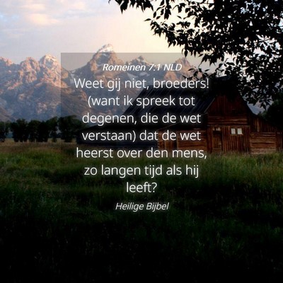 Picture 04 - Romeinen 7:1 NLD - Weet gij niet, broeders! (want ik spreek tot - Bible Verse Picture