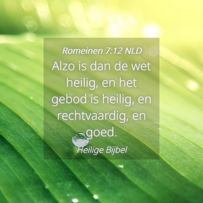 Picture 04 - Romeinen 7:12 NLD - Alzo is dan de wet heilig, en het gebod is - Bible Verse Picture