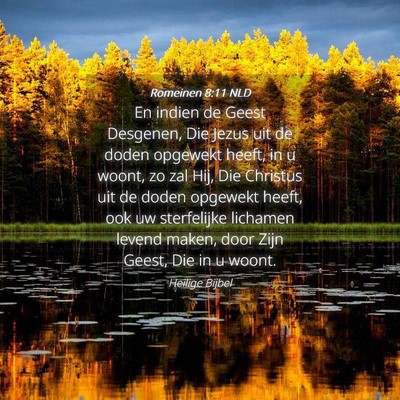 Picture 04 - Romeinen 8:11 NLD - En indien de Geest Desgenen, Die Jezus uit de - Bible Verse Picture