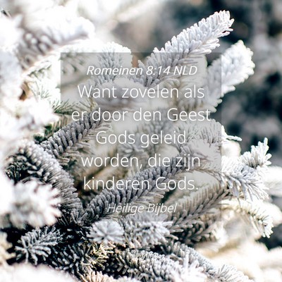 Picture 04 - Romeinen 8:14 NLD - Want zovelen als er door den Geest Gods geleid - Bible Verse Picture