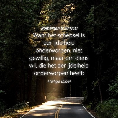 Picture 04 - Romeinen 8:20 NLD - Want het schepsel is der ijdelheid onderworpen, - Bible Verse Picture