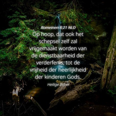 Picture 04 - Romeinen 8:21 NLD - Op hoop, dat ook het schepsel zelf zal - Bible Verse Picture