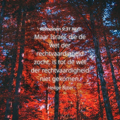 Picture 04 - Romeinen 9:31 NLD - Maar Israel, die de wet der rechtvaardigheid - Bible Verse Picture