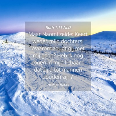 Picture 04 - Ruth 1:11 NLD - Maar Naomi zeide: Keert weder, mijn dochters! - Bible Verse Picture
