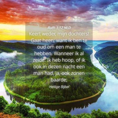 Picture 04 - Ruth 1:12 NLD - Keert weder, mijn dochters! Gaat heen; want ik - Bible Verse Picture