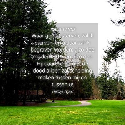 Picture 04 - Ruth 1:17 NLD - Waar gij zult sterven, zal ik sterven, en aldaar - Bible Verse Picture