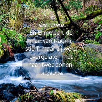 Picture 04 - Ruth 1:3 NLD - En Elimelech, de man van Naomi, stierf; maar zij - Bible Verse Picture