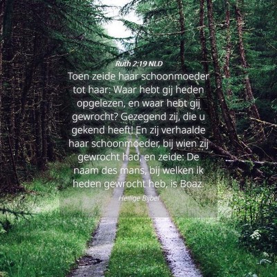 Picture 04 - Ruth 2:19 NLD - Toen zeide haar schoonmoeder tot haar: Waar hebt - Bible Verse Picture