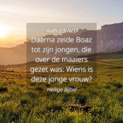 Picture 04 - Ruth 2:5 NLD - Daarna zeide Boaz tot zijn jongen, die over de - Bible Verse Picture