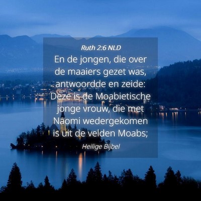 Picture 04 - Ruth 2:6 NLD - En de jongen, die over de maaiers gezet was, - Bible Verse Picture