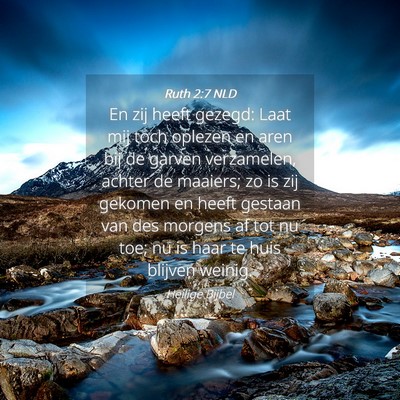 Picture 04 - Ruth 2:7 NLD - En zij heeft gezegd: Laat mij toch oplezen en - Bible Verse Picture