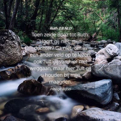 Picture 04 - Ruth 2:8 NLD - Toen zeide Boaz tot Ruth: Hoort gij niet, mijn - Bible Verse Picture