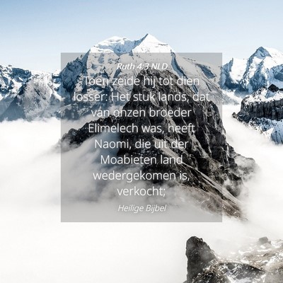 Picture 04 - Ruth 4:3 NLD - Toen zeide hij tot dien losser: Het stuk lands, - Bible Verse Picture