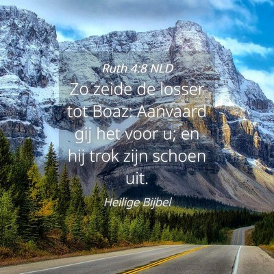 Picture 04 - Ruth 4:8 NLD - Zo zeide de losser tot Boaz: Aanvaard gij het - Bible Verse Picture