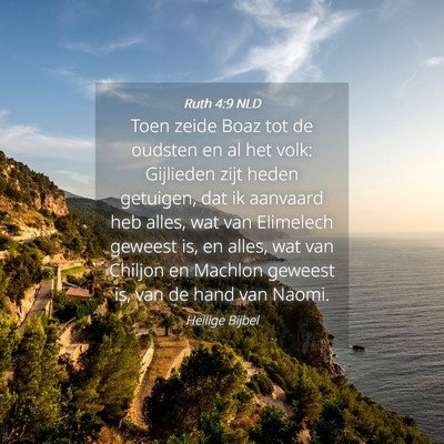 Picture 04 - Ruth 4:9 NLD - Toen zeide Boaz tot de oudsten en al het volk: - Bible Verse Picture