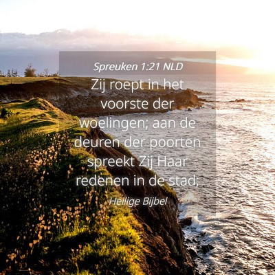 Picture 04 - Spreuken 1:21 NLD - Zij roept in het voorste der woelingen; aan de - Bible Verse Picture