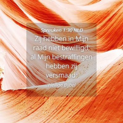 Picture 04 - Spreuken 1:30 NLD - Zij hebben in Mijn raad niet bewilligd; al Mijn - Bible Verse Picture