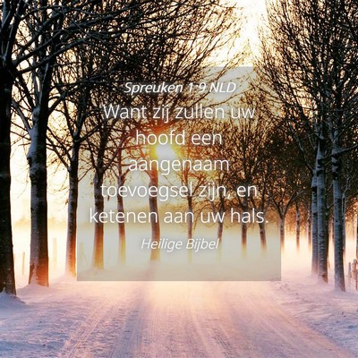 Picture 04 - Spreuken 1:9 NLD - Want zij zullen uw hoofd een aangenaam toevoegsel - Bible Verse Picture