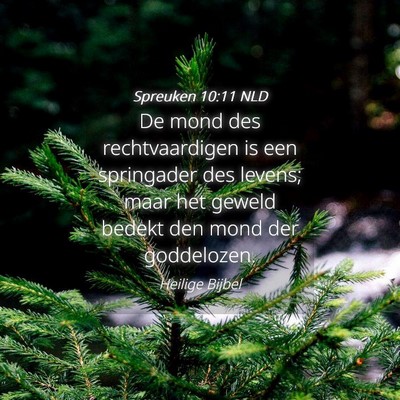 Picture 04 - Spreuken 10:11 NLD - De mond des rechtvaardigen is een springader des - Bible Verse Picture