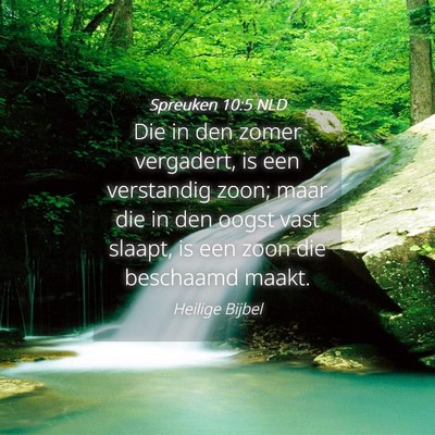 Picture 04 - Spreuken 10:5 NLD - Die in den zomer vergadert, is een verstandig - Bible Verse Picture