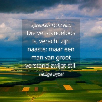 Picture 04 - Spreuken 11:12 NLD - Die verstandeloos is, veracht zijn naaste; maar - Bible Verse Picture