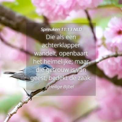 Picture 04 - Spreuken 11:13 NLD - Die als een achterklapper wandelt, openbaart het - Bible Verse Picture