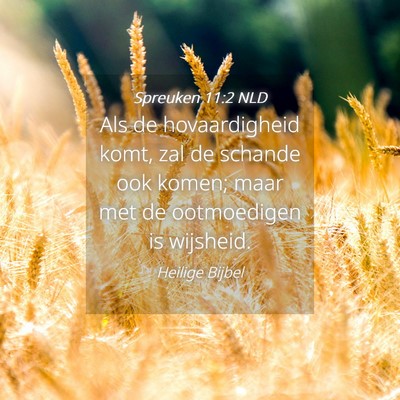 Picture 04 - Spreuken 11:2 NLD - Als de hovaardigheid komt, zal de schande ook - Bible Verse Picture
