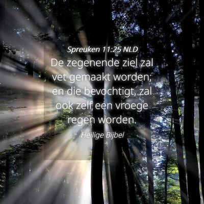Picture 04 - Spreuken 11:25 NLD - De zegenende ziel zal vet gemaakt worden; en die - Bible Verse Picture
