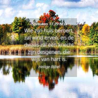 Picture 04 - Spreuken 11:29 NLD - Wie zijn huis beroert, zal wind erven; en de - Bible Verse Picture