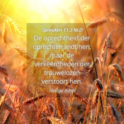 Picture 04 - Spreuken 11:3 NLD - De oprechtheid der oprechten leidt hen; maar de - Bible Verse Picture