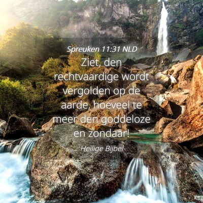 Picture 04 - Spreuken 11:31 NLD - Ziet, den rechtvaardige wordt vergolden op de - Bible Verse Picture