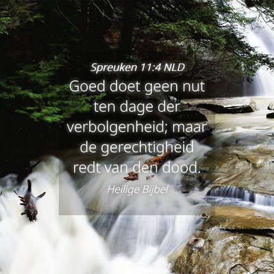 Picture 04 - Spreuken 11:4 NLD - Goed doet geen nut ten dage der verbolgenheid; - Bible Verse Picture