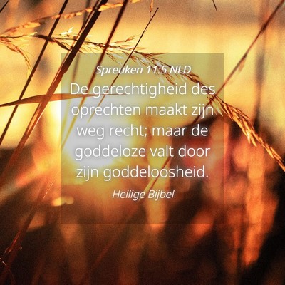 Picture 04 - Spreuken 11:5 NLD - De gerechtigheid des oprechten maakt zijn weg - Bible Verse Picture