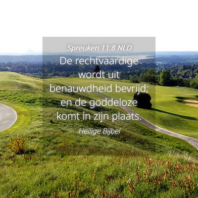 Picture 04 - Spreuken 11:8 NLD - De rechtvaardige wordt uit benauwdheid bevrijd; - Bible Verse Picture
