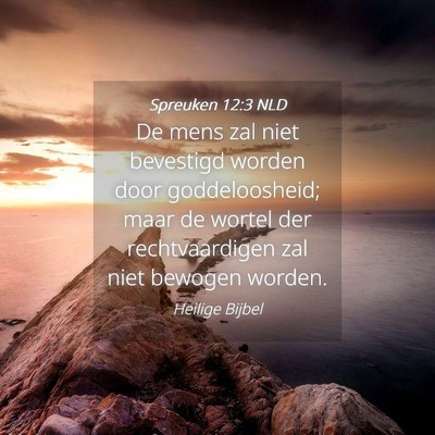 Picture 04 - Spreuken 12:3 NLD - De mens zal niet bevestigd worden door - Bible Verse Picture
