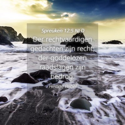 Picture 04 - Spreuken 12:5 NLD - Der rechtvaardigen gedachten zijn recht; der - Bible Verse Picture