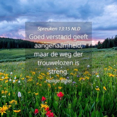 Picture 04 - Spreuken 13:15 NLD - Goed verstand geeft aangenaamheid; maar de weg - Bible Verse Picture