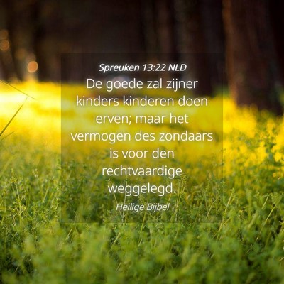 Picture 04 - Spreuken 13:22 NLD - De goede zal zijner kinders kinderen doen erven; - Bible Verse Picture
