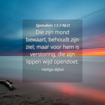 Picture 04 - Spreuken 13:3 NLD - Die zijn mond bewaart, behoudt zijn ziel; maar - Bible Verse Picture