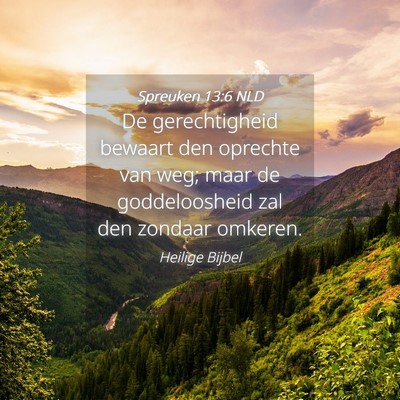 Picture 04 - Spreuken 13:6 NLD - De gerechtigheid bewaart den oprechte van weg; - Bible Verse Picture