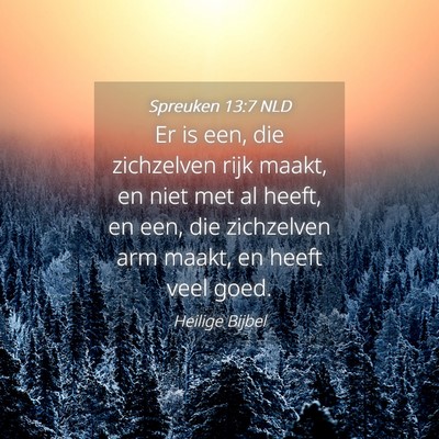 Picture 04 - Spreuken 13:7 NLD - Er is een, die zichzelven rijk maakt, en niet met - Bible Verse Picture